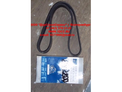 Ремень 8PK800 ЕВРОПА 2.21078 фото 1 Прокопьевск
