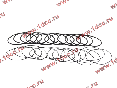 Кольцо уплотнительное гильзы цилиндра (комплект 12 тонких и 12 толстых) двигатель TD226B6G Lonking CDM (СДМ) 01153804/01153805 фото 1 Прокопьевск