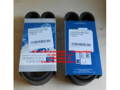 Ремень 8PK880 МAN 2688/2876 ЕВРОПА 3.34212 фото 1 Прокопьевск