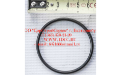 Кольцо уплотнительное ø346х3.5 гидромуфты ГТР CDM 855, 843 фото Прокопьевск