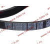 Ремень 8PK1160 SH (612600061295) SHAANXI / Shacman (ШАНКСИ / Шакман) 612600061752 фото 2 Прокопьевск