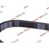 Ремень 8PK1725 DF/C CREATEK CREATEK C3911620/CK8041 фото 2 Прокопьевск