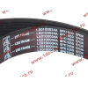 Ремень 8PK1050 водяного насоса ручейковый H3 HOWO (ХОВО) VG2600020253 фото 2 Прокопьевск