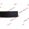 Ремень 6PK1425 A7 CREATEK CREATEK WG1246060008/CK фото 3 Прокопьевск