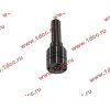 Распылитель DELPHI L337PBB DBG H HOWO (ХОВО) L337PBB фото 3 Прокопьевск