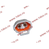 Фара противотуманная бампера правая SH F3000 SHAANXI / Shacman (ШАНКСИ / Шакман) DZ93189723026 фото 4 Прокопьевск